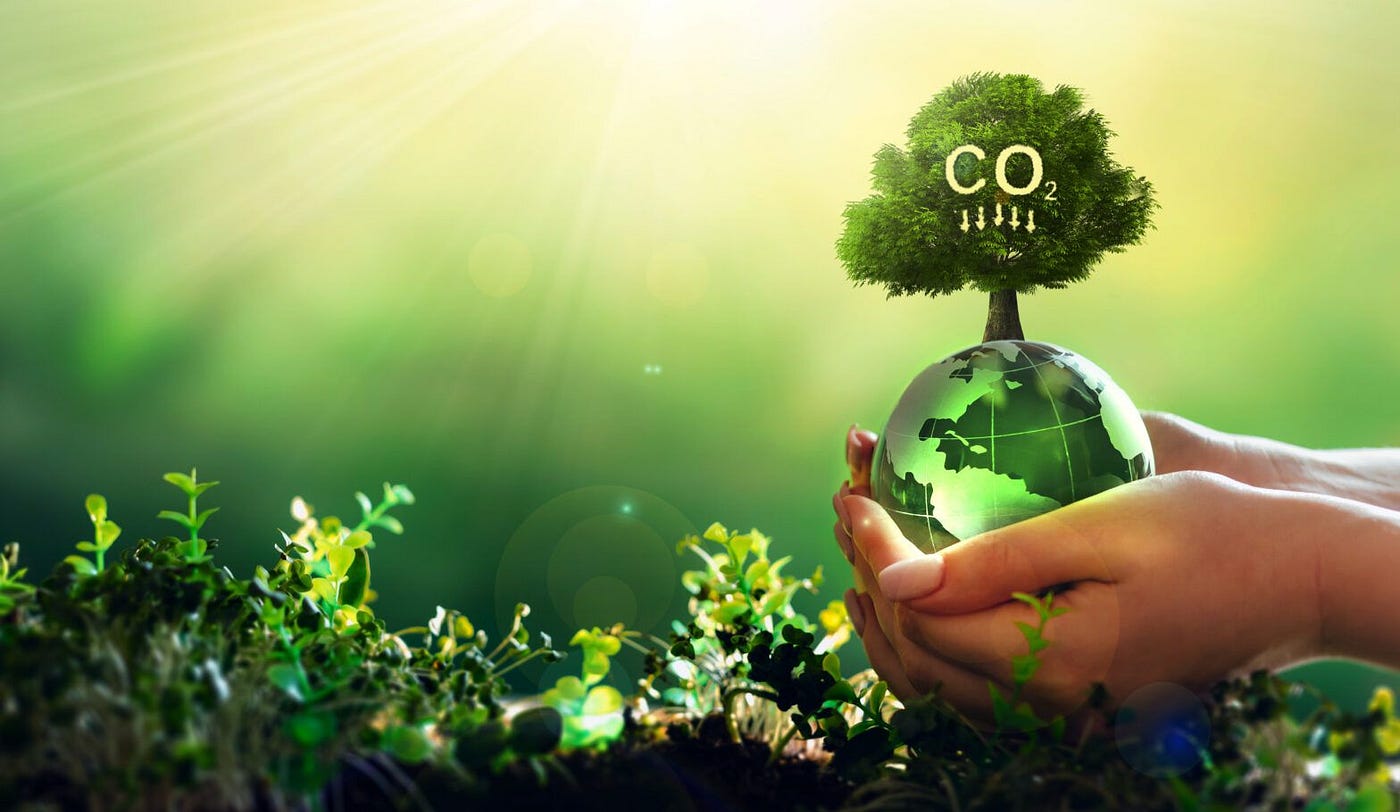 The Business of Carbon Emission Management: Saving the Planet and Your  Bottom Line: | by Beyond Sustainability | Medium