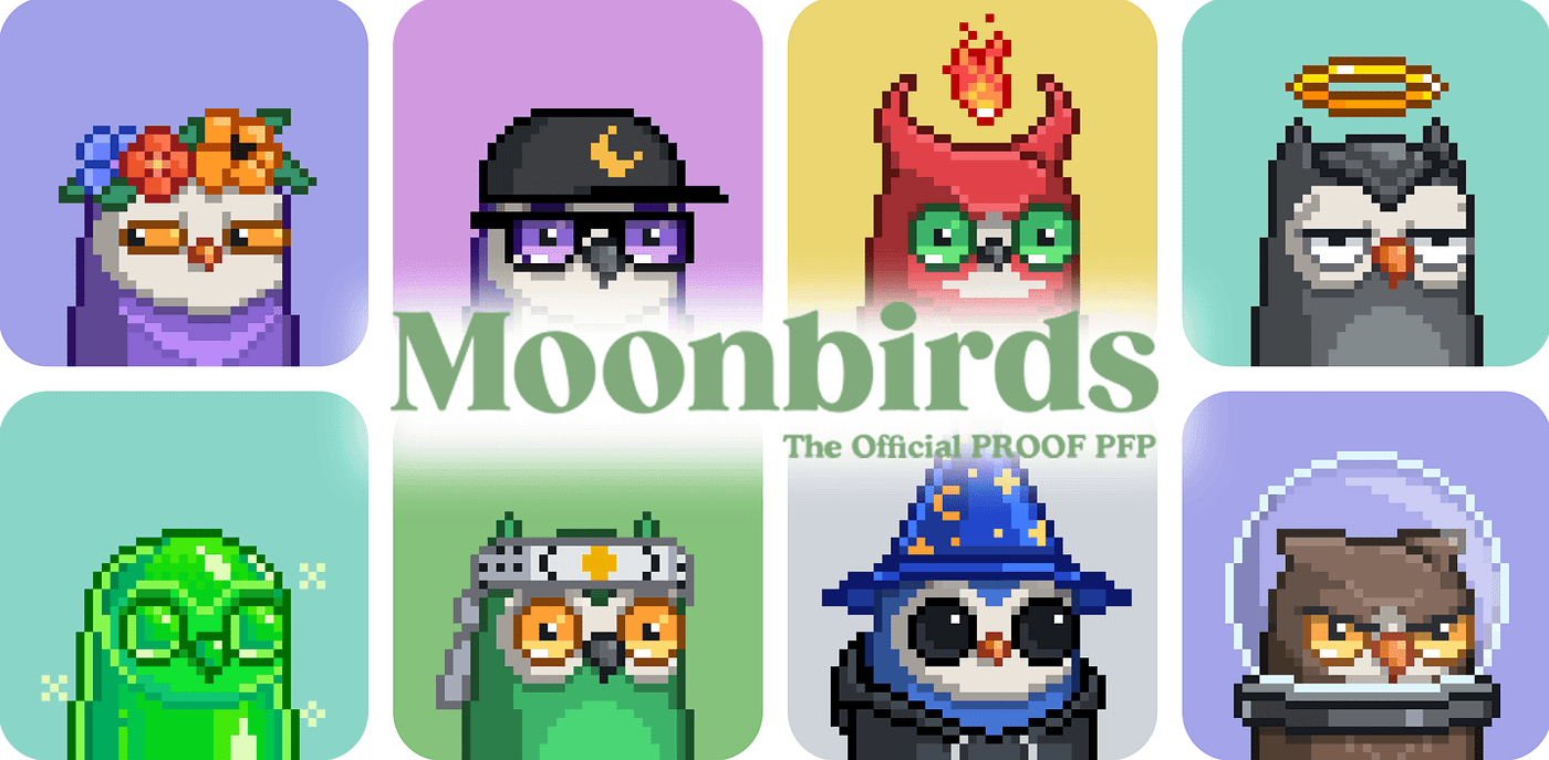 Moonbirds, the complete guide. In less than a week, Moonbirds… | by  NFTuloan | Medium