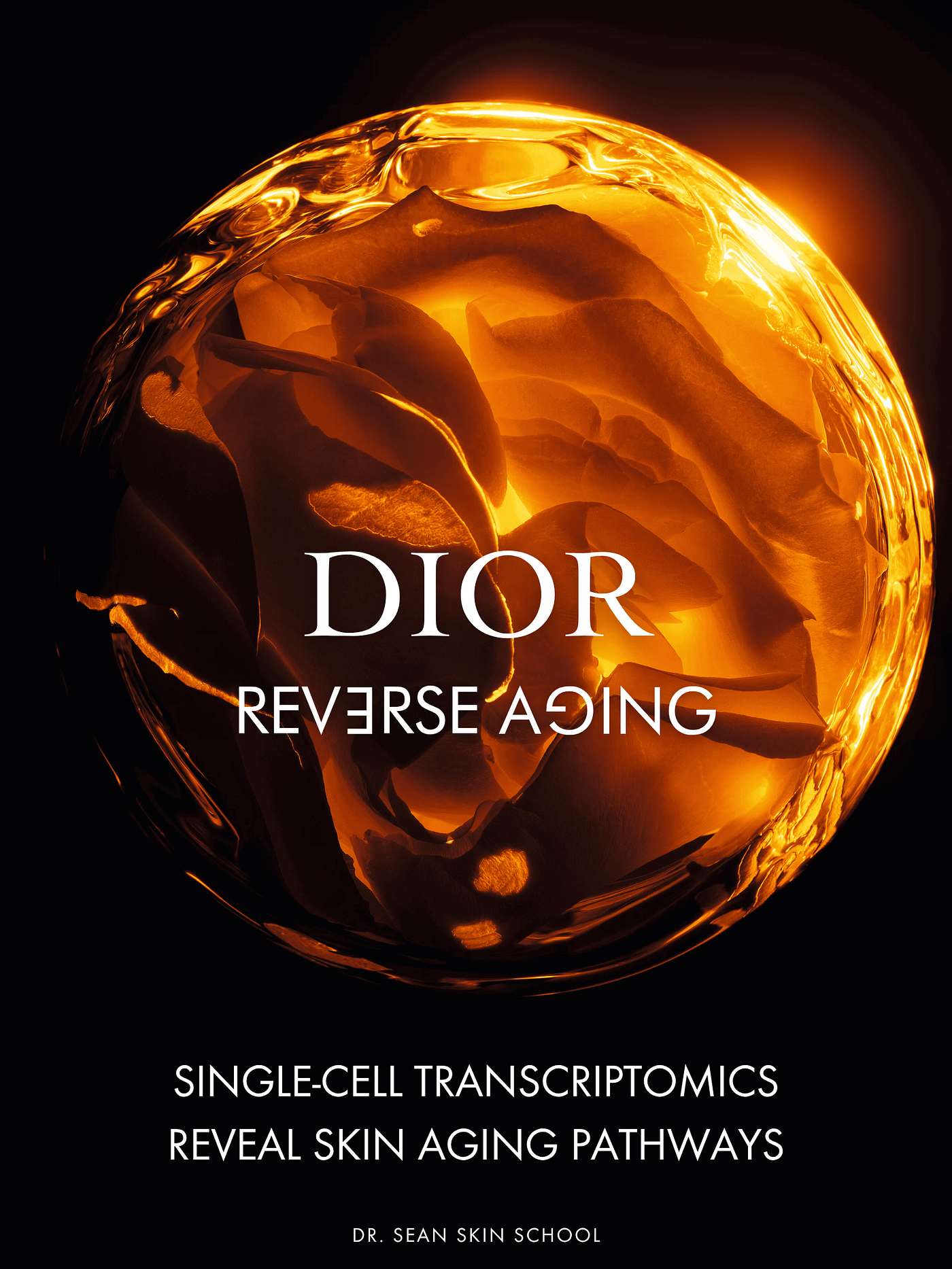 งานวิจัย Single-cell transcriptomics ค้นพบ Aging Signatures ระดับโมเลกุลของเซลล์ผิวหนัง