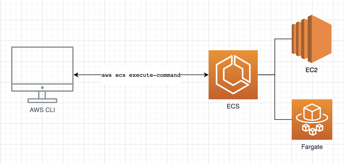 Execute commands in ECS Fargate/EC2 Docker Containers | by Stefan Pöltl |  AWS Tip