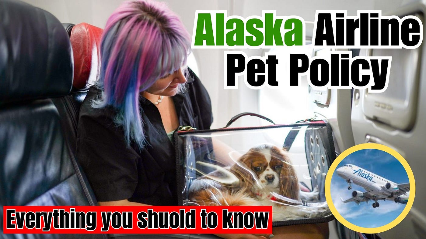 Alaska 2024 air pet