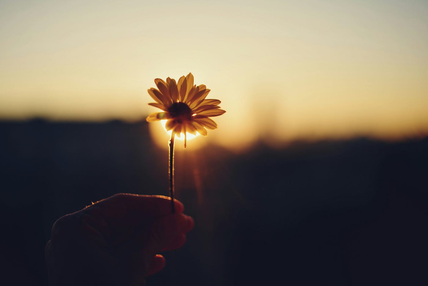 What a valuable word it is to be able to say “I’m glad I did it”