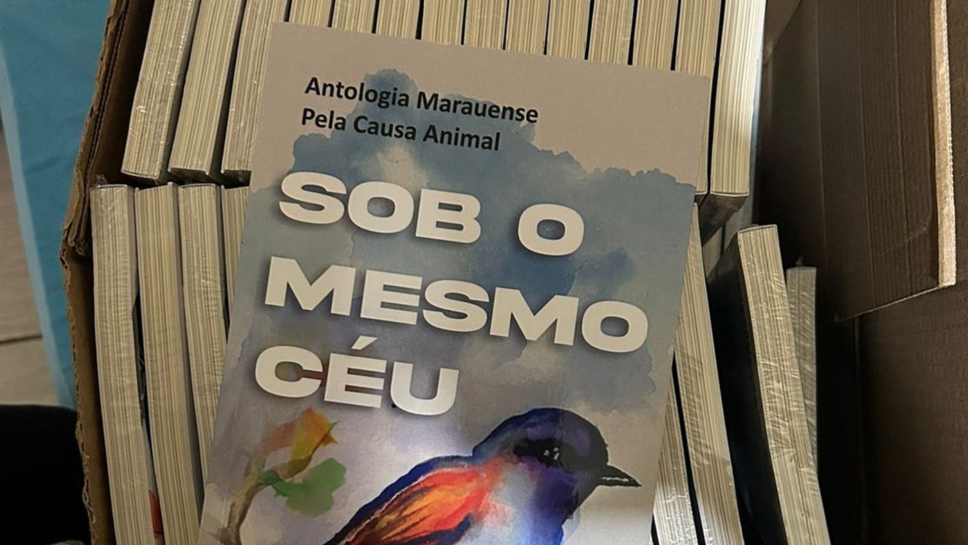 “Sob o Mesmo Céu” terá evento oficial de lançamento