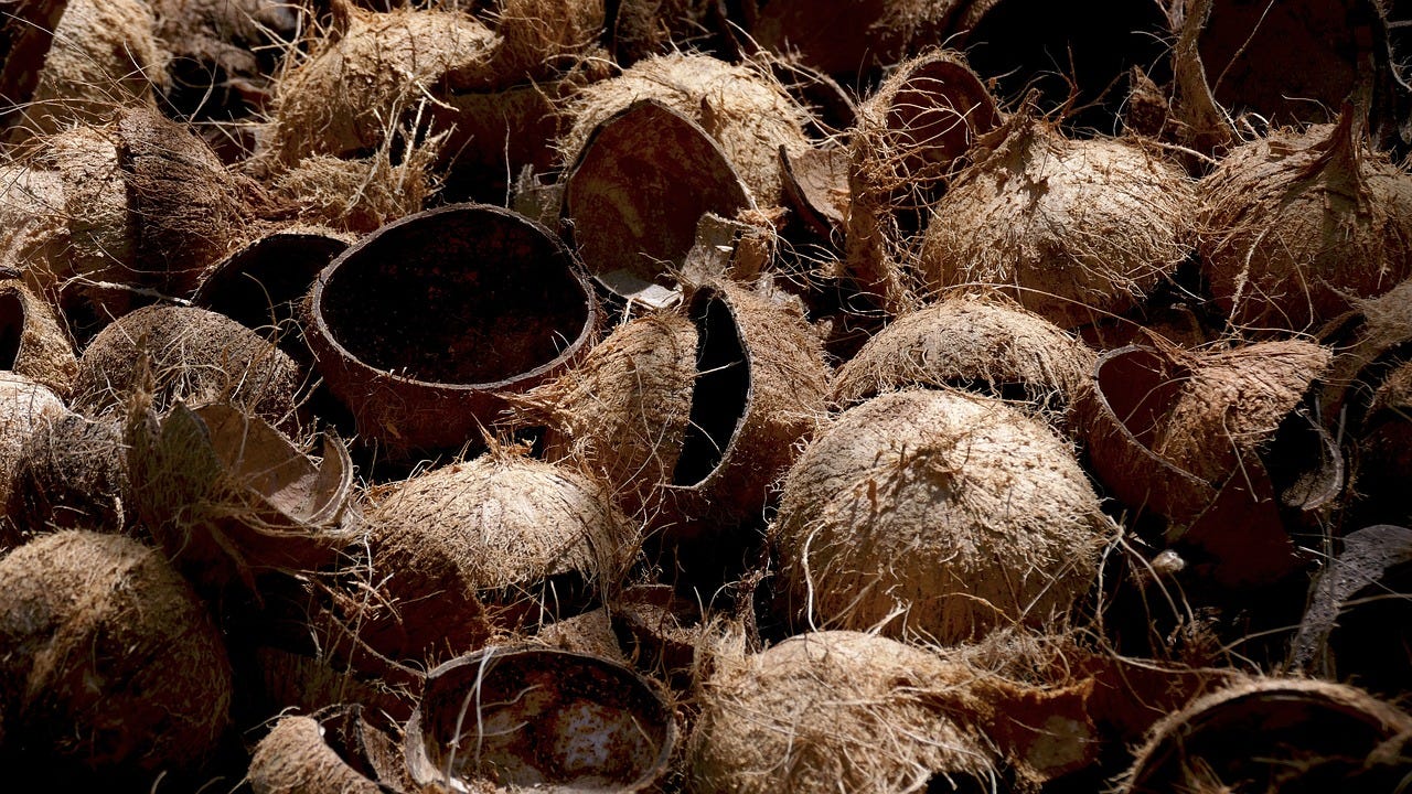 Uses of Coconut Shell Charcoal. Coconut shell charcoal, derived from…, by  Bestonrecycling