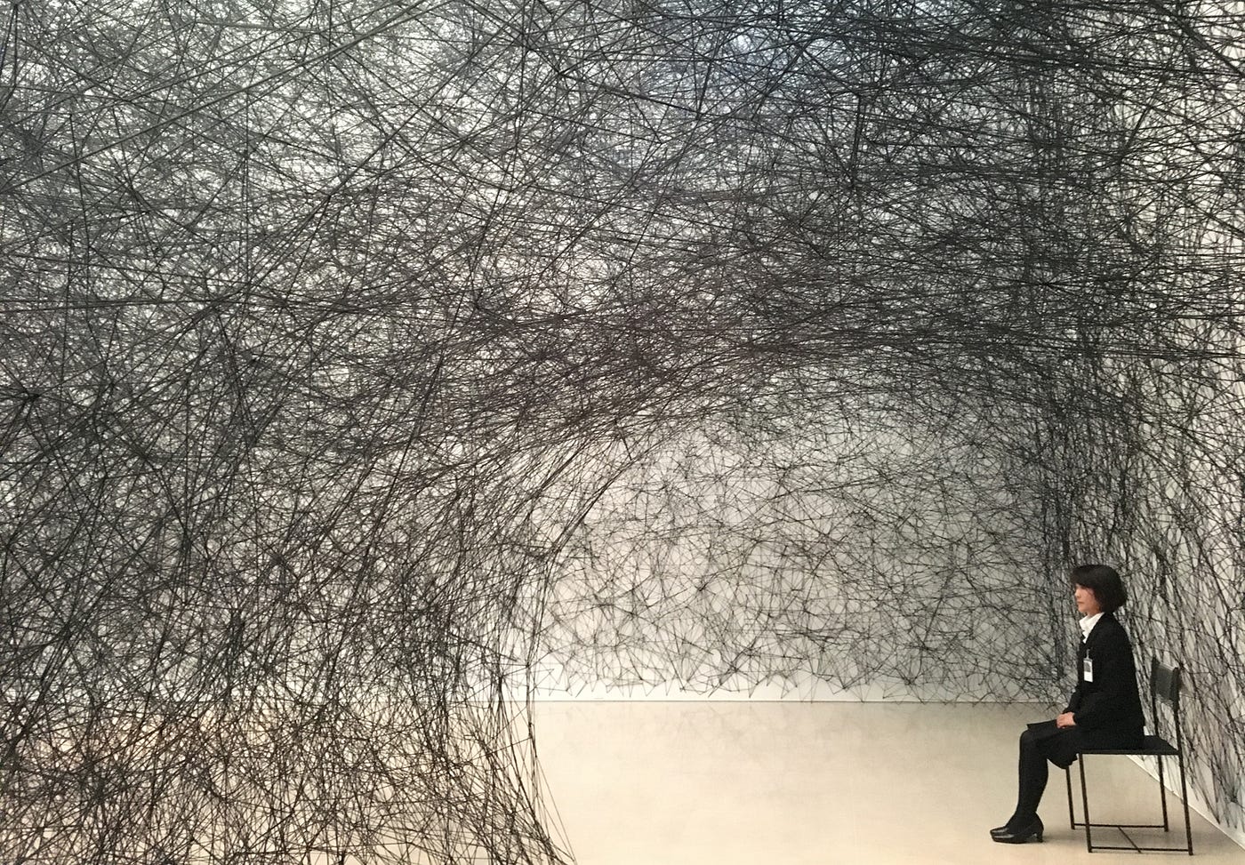 蜘蛛の糸@豊田市美術館. Toyota Munichipal Museum of Art | by