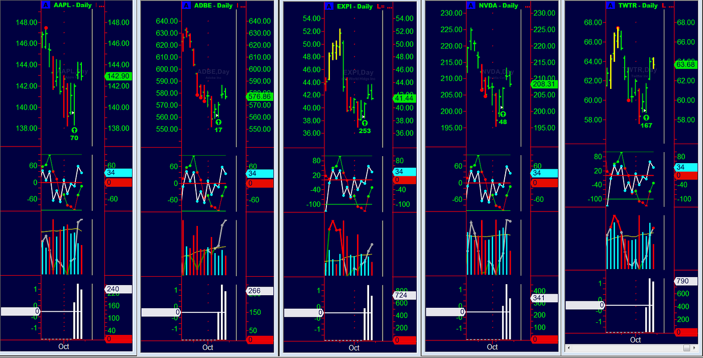Rally with the leveraged ETFs?. The market, and its stocks, either goes… |  by Michael Petryni | Medium