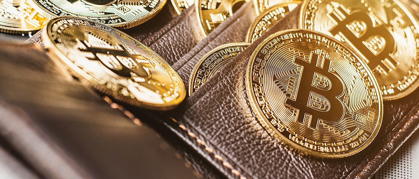 Which Crypto Wallet Is the Best?. Hardware, software, or paper wallet… | by  Alexandros Roumpos | Coinmonks | Medium