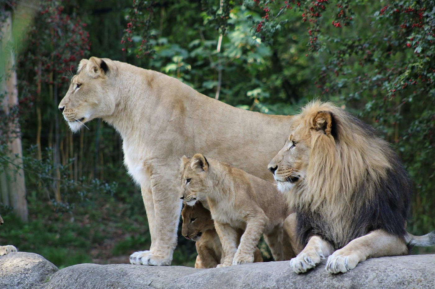 Foto oleh MediaEcke di Unsplash.