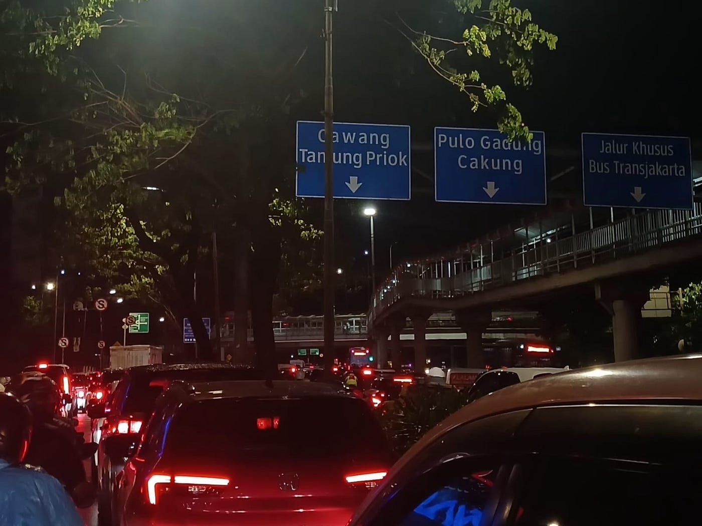 Apakah Ayam Jago itu Jagoan?