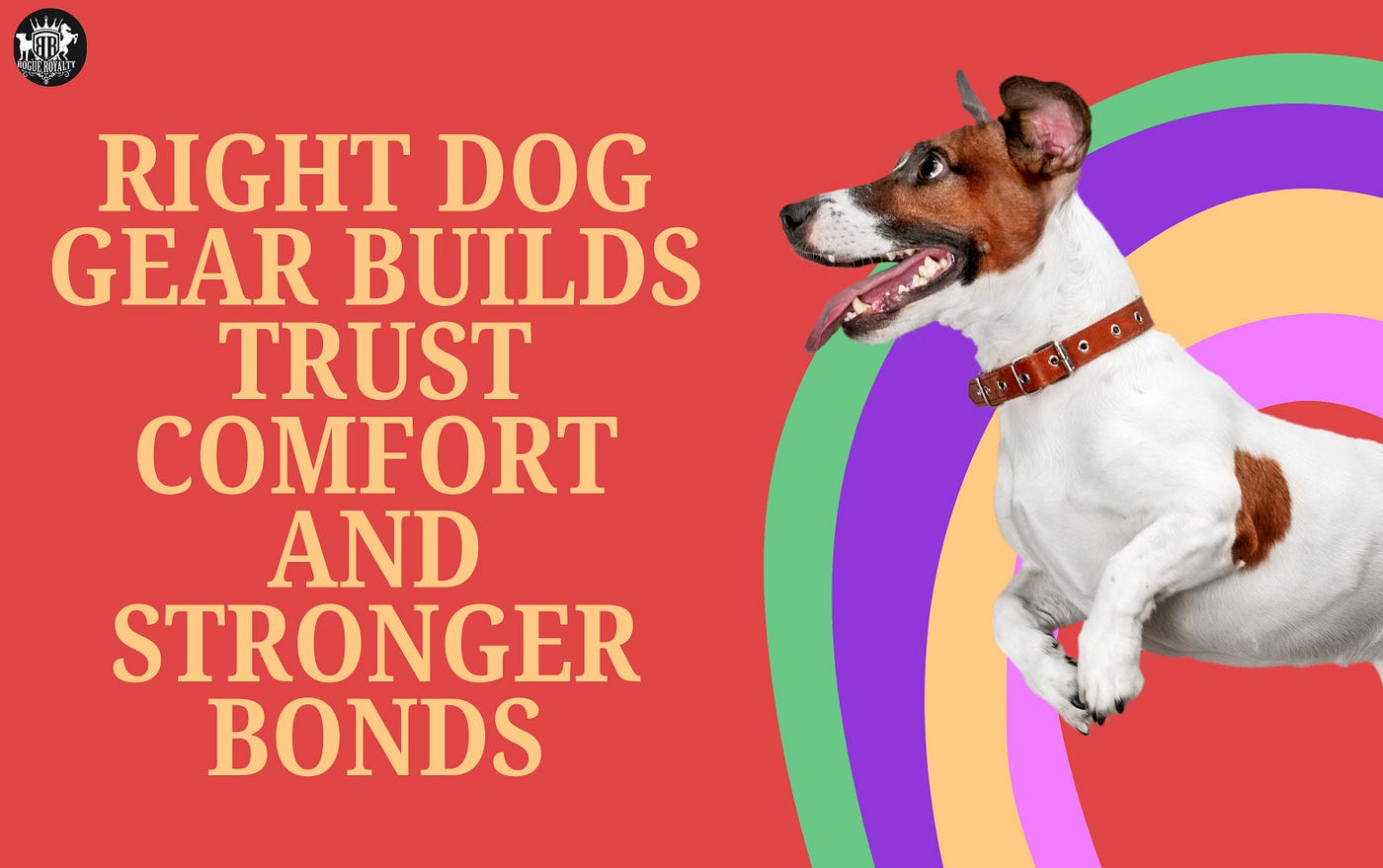 How the Right Dog Gear Can Strengthen Your Bond With Your Best Friend