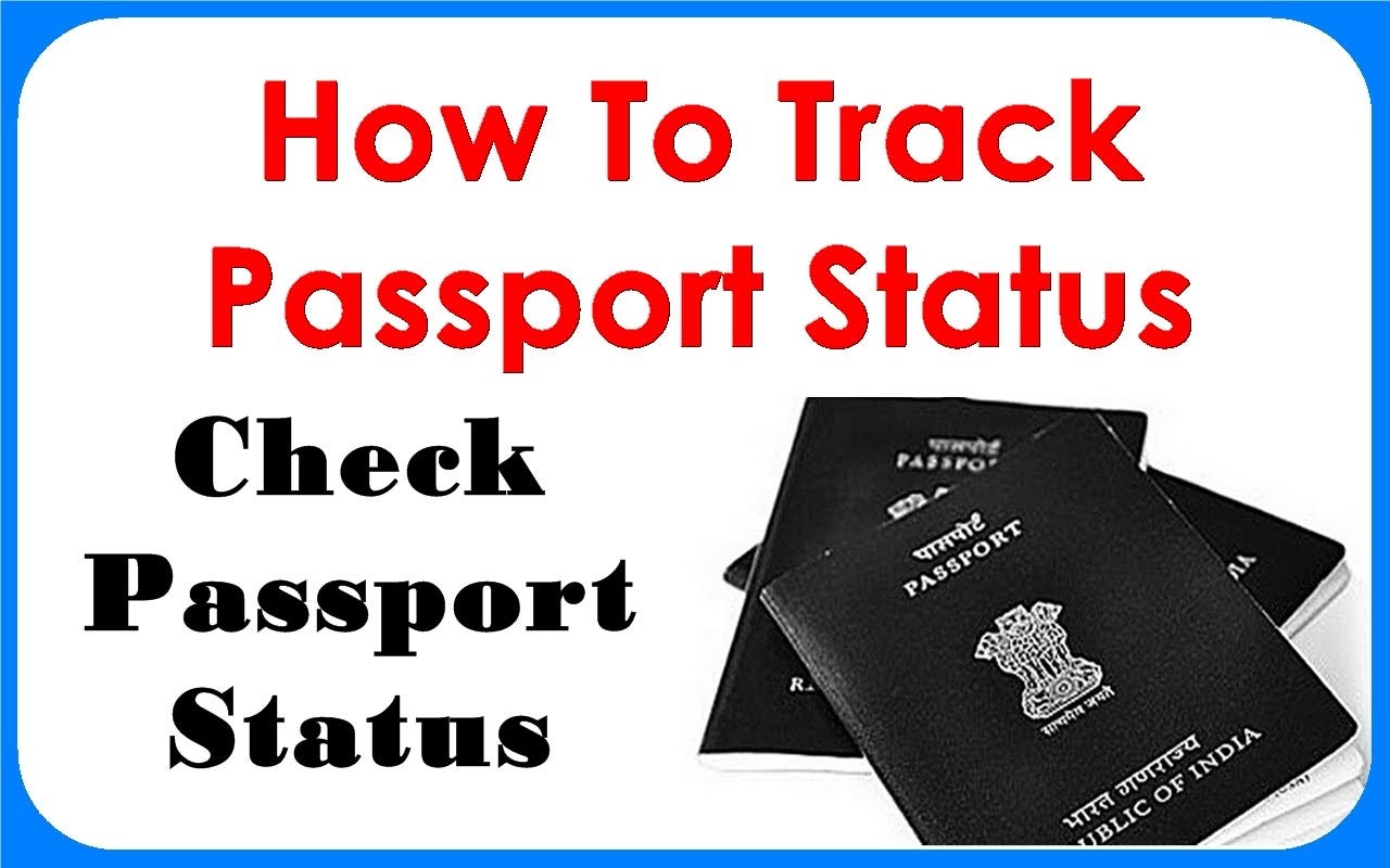 Track passport. Passport check.