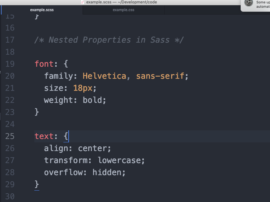 Sass! | Syntactically Awesome Style Sheets & Sassy CSS | by Renée