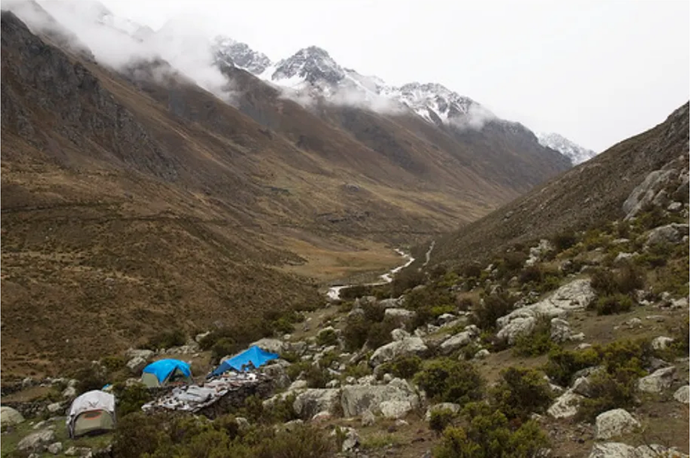 Field site at 4000 meters elevation in the Andes mountains. (Credit: Jimmy A McGuire / doi:10.1016/j.cub.2014.03.016)