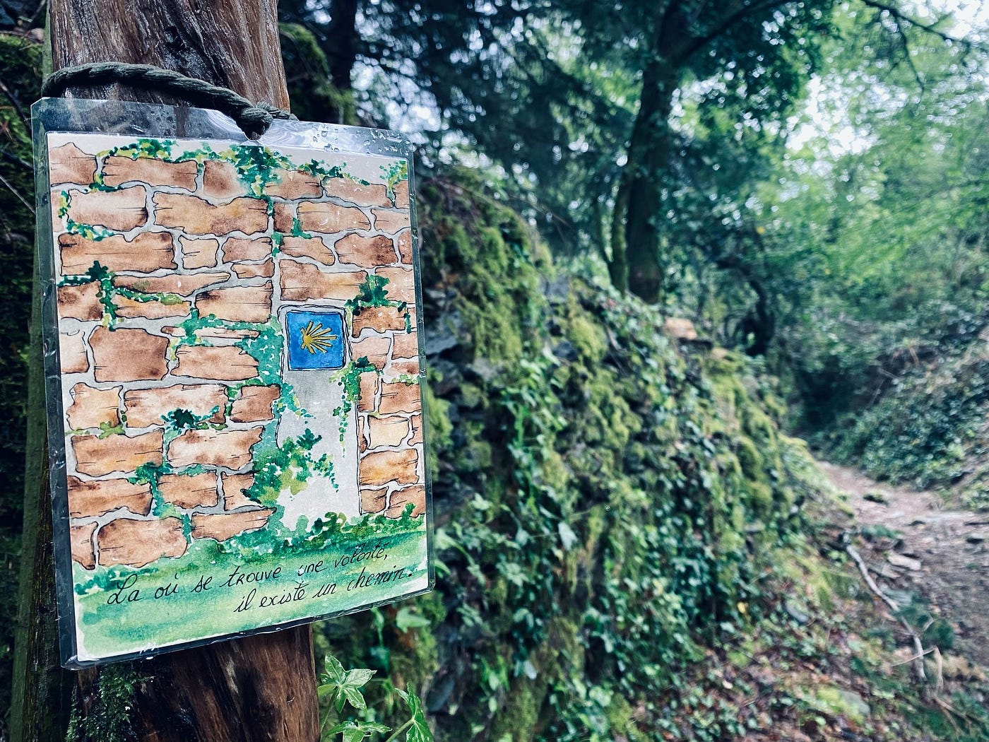 𝗟𝗮̀ 𝗼𝘂̀ 𝘀𝗲 𝘁𝗿𝗼𝘂𝘃𝗲 𝘂𝗻𝗲 𝘃𝗼𝗹𝗼𝗻𝘁𝗲́, 𝗶𝗹 𝗲𝘅𝗶𝘀𝘁𝗲 𝘂𝗻 𝗰𝗵𝗲𝗺𝗶𝗻