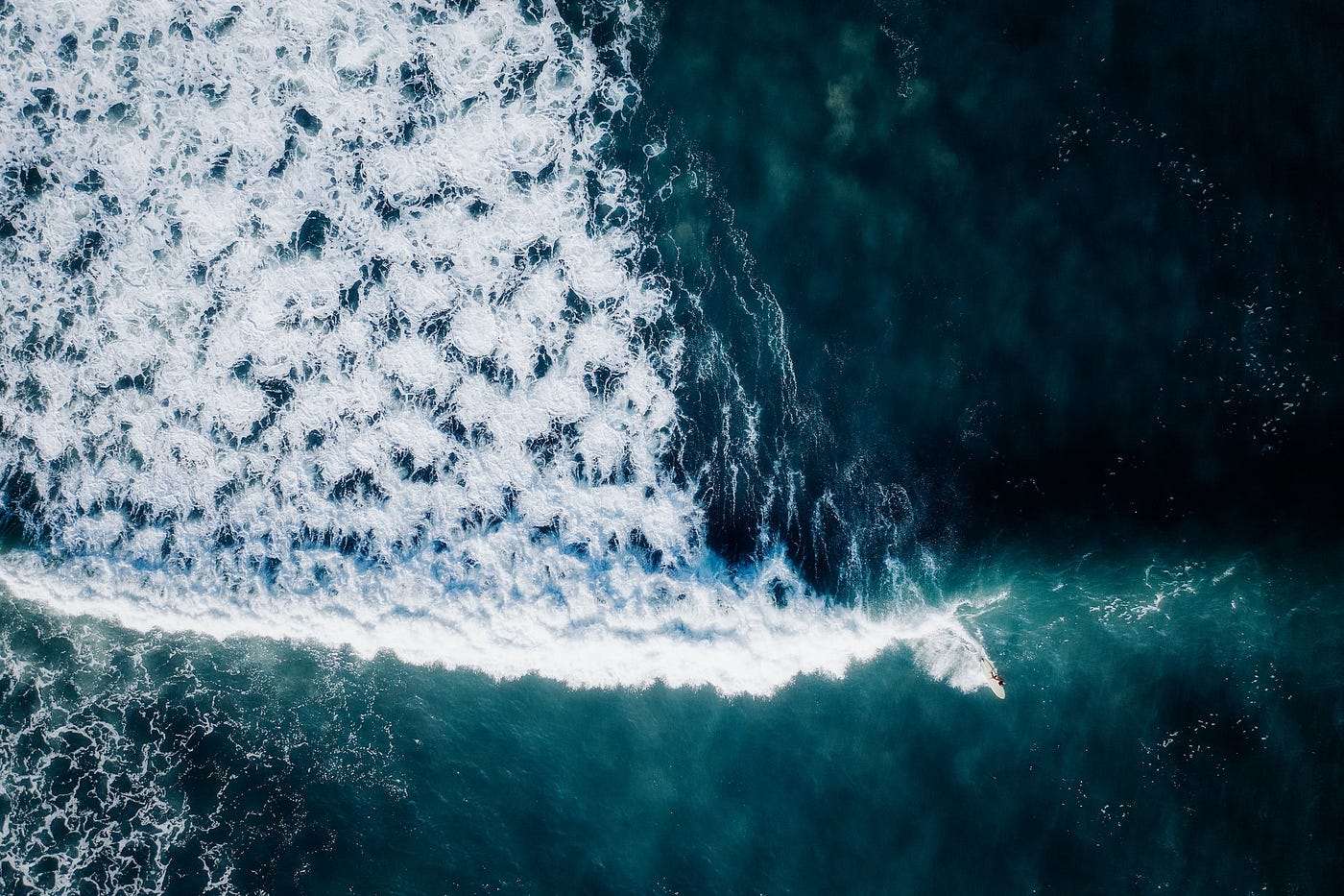 Photo by Geio Tischler on Unsplash