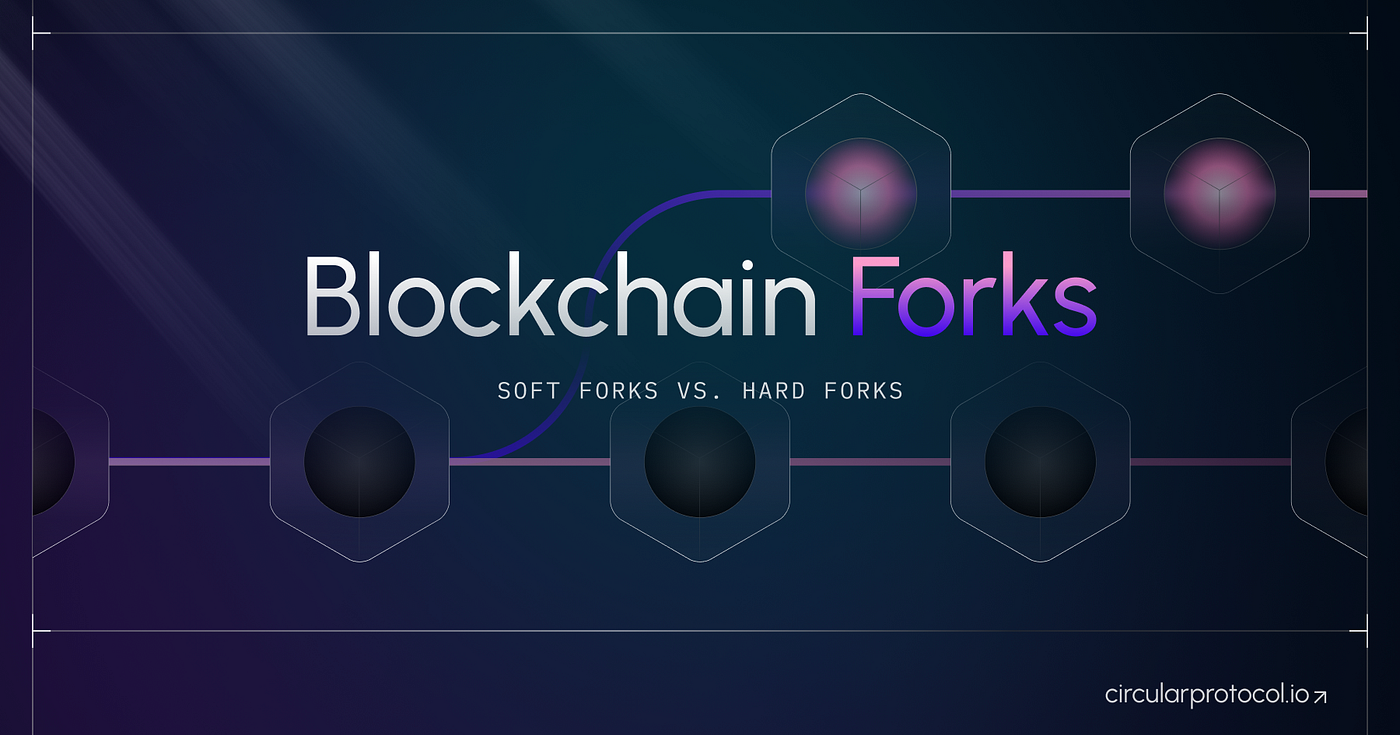 Blockchain Forks — Soft Forks vs. Hard Forks | by Circular Protocol | Medium