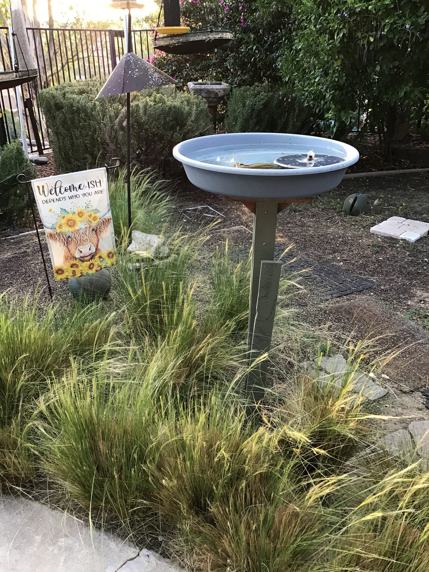 My photo of a new water feature for the birds