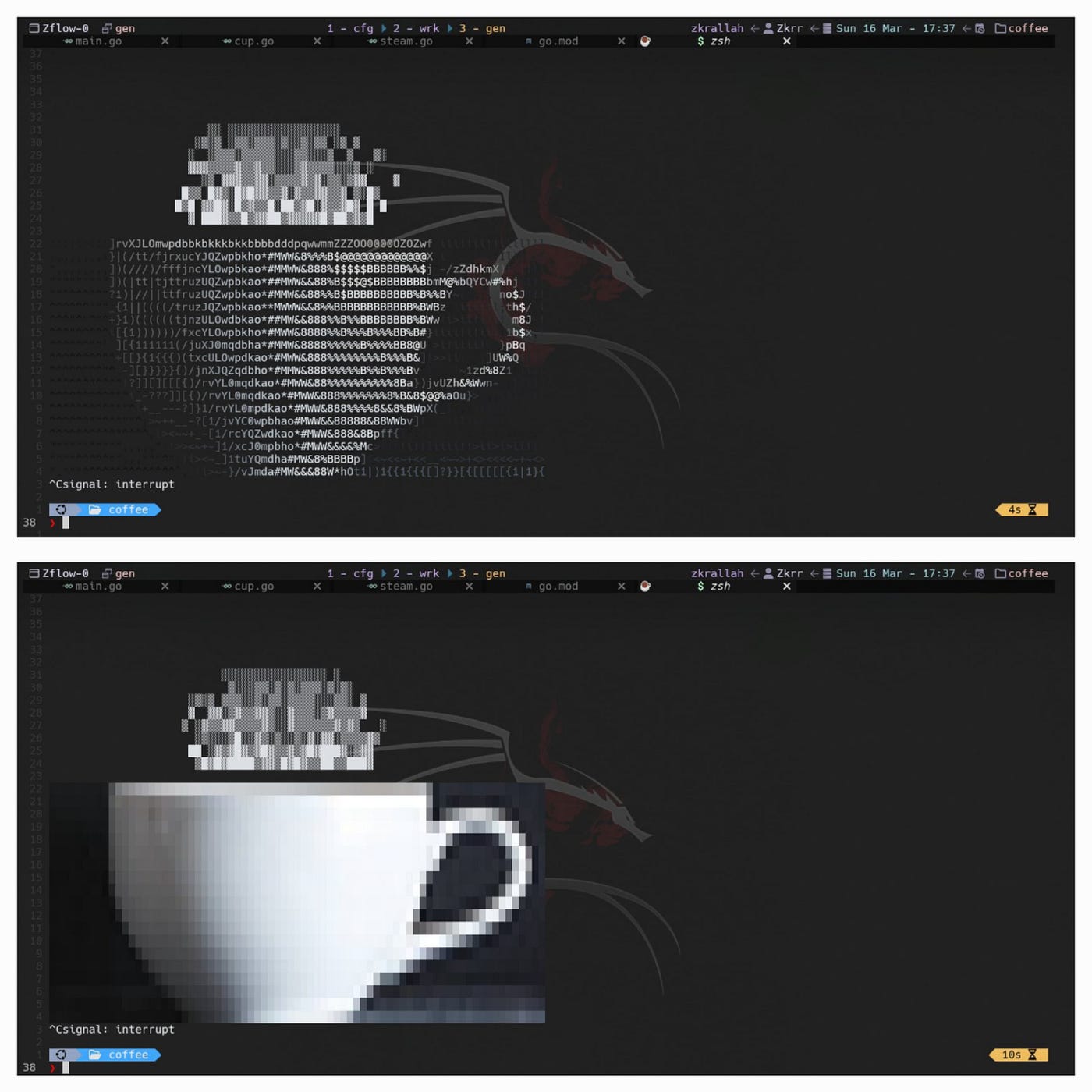 ASCII/ANSI Image Converter and Particle System in Go