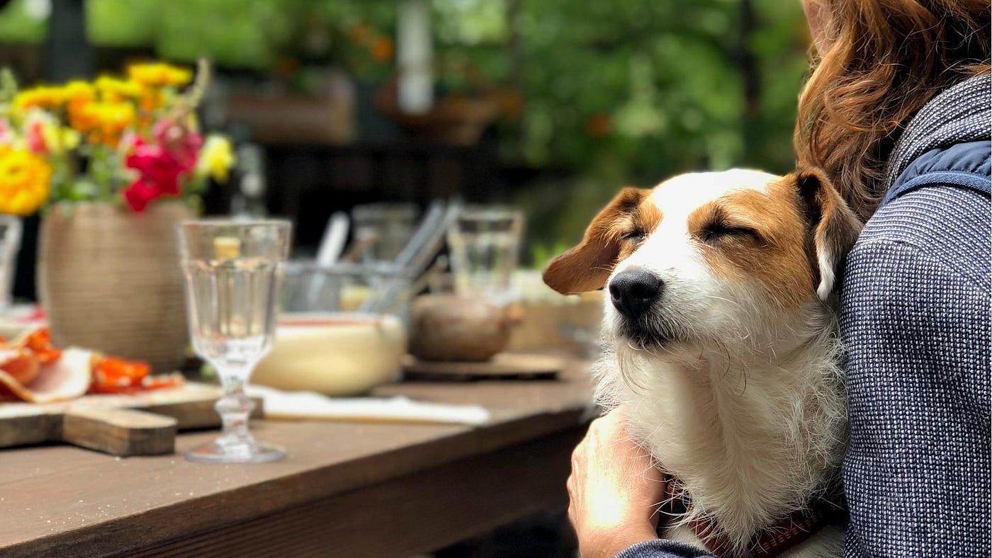 ペット・お店！PETPETからペット友好の飲食店情報をスクレイピング
