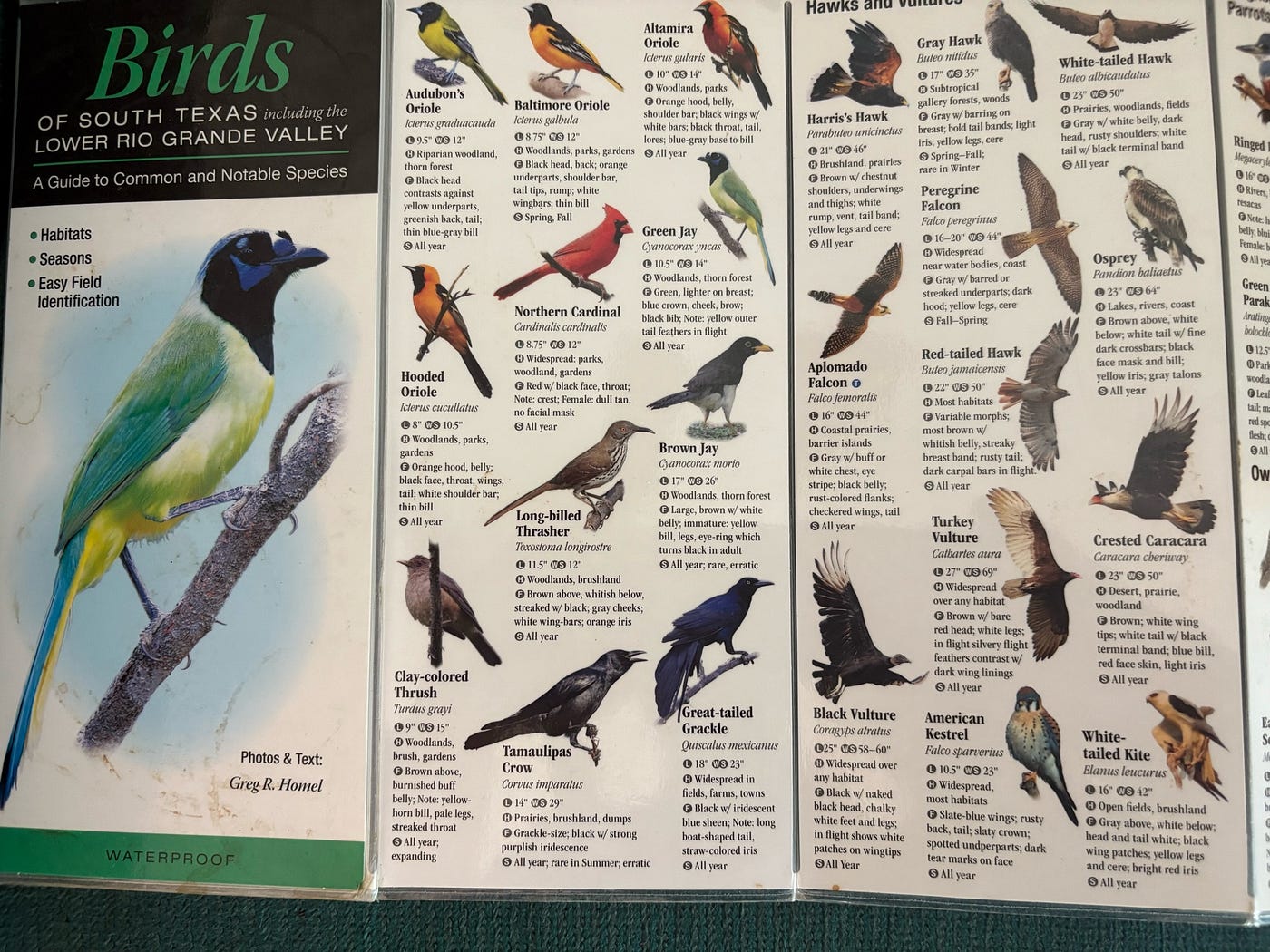Birds of South Texas