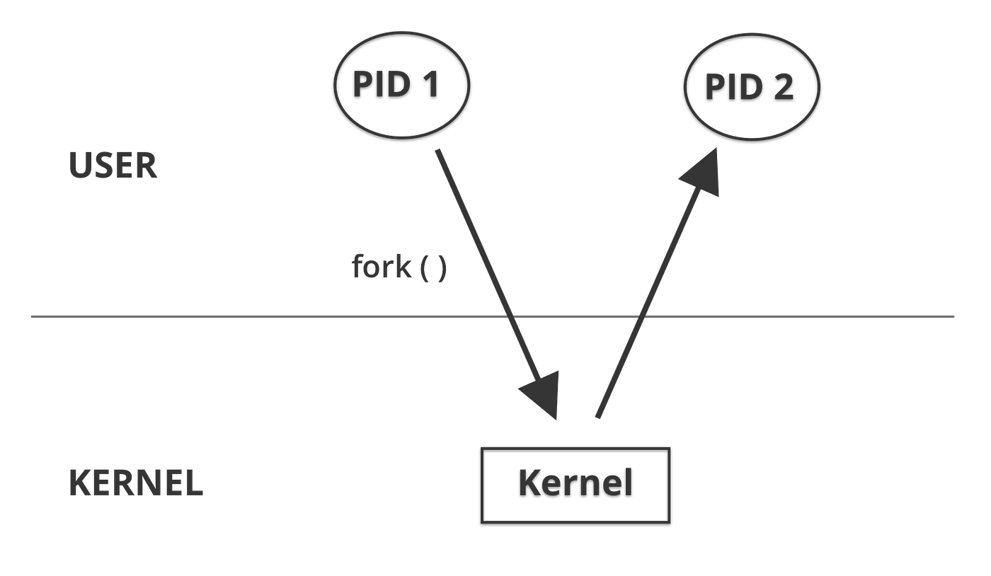 Docker: Another introduction. Docker has coined itself as the… | by  shaunwarman | CloudBoost