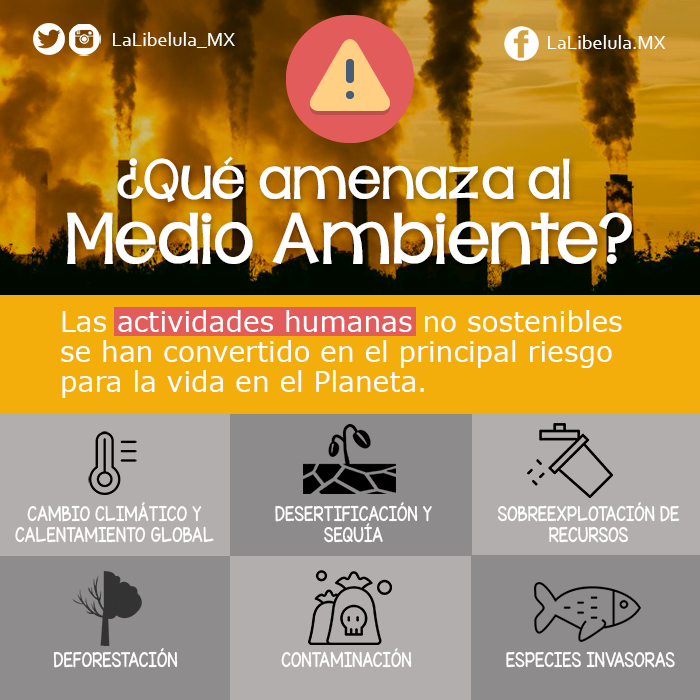 Qué amenaza al medio ambiente?. Los seres humanos somos parte del… | by La  Libélula México | Medium
