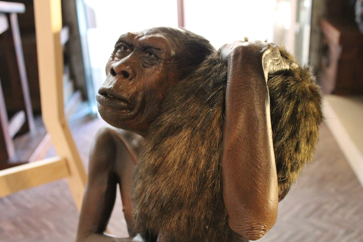 Who Was Homo Floresiensis?. Tiny Skeletons, Small Brains, Large