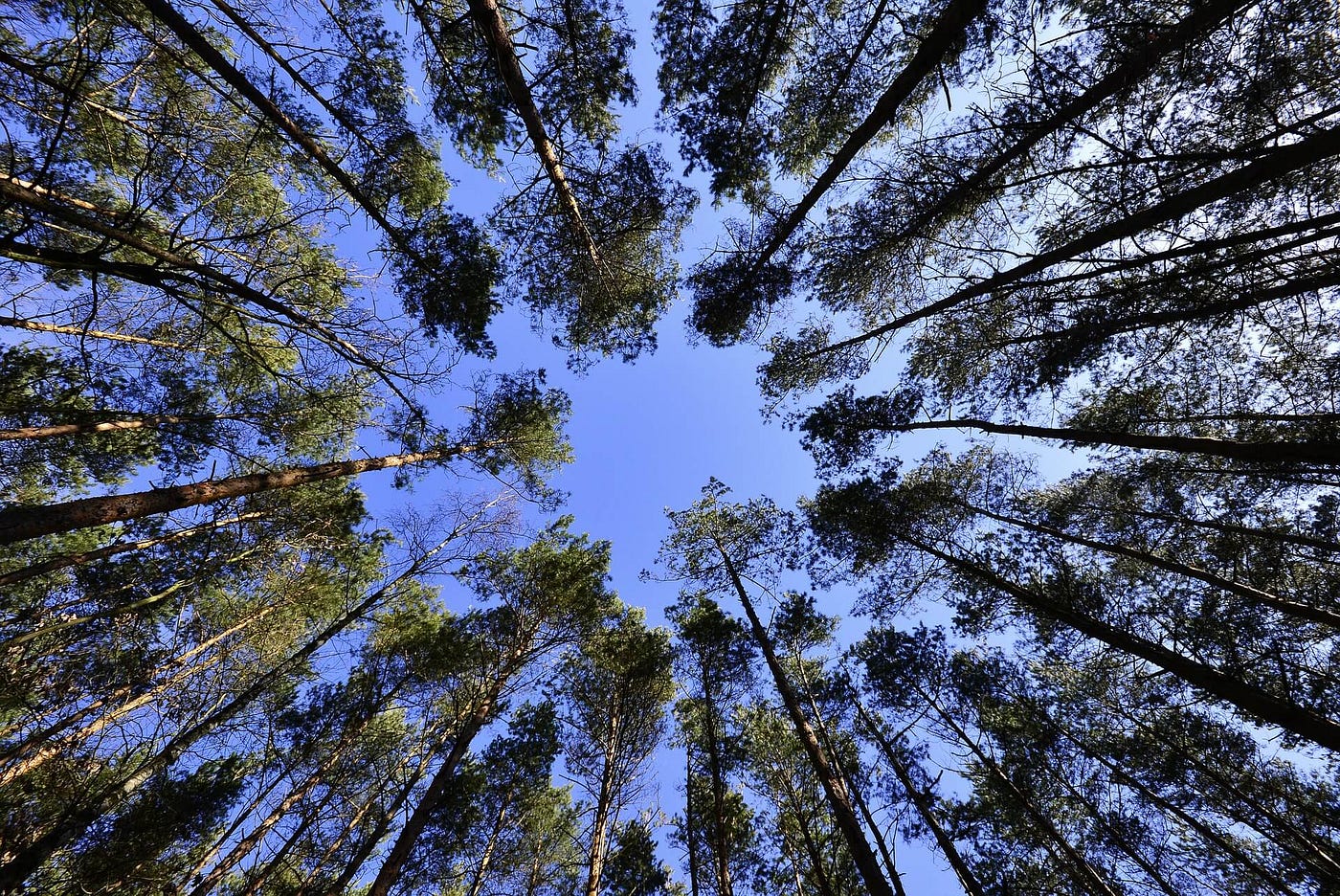 Coaching, Mentoring, Unternehmensberatung