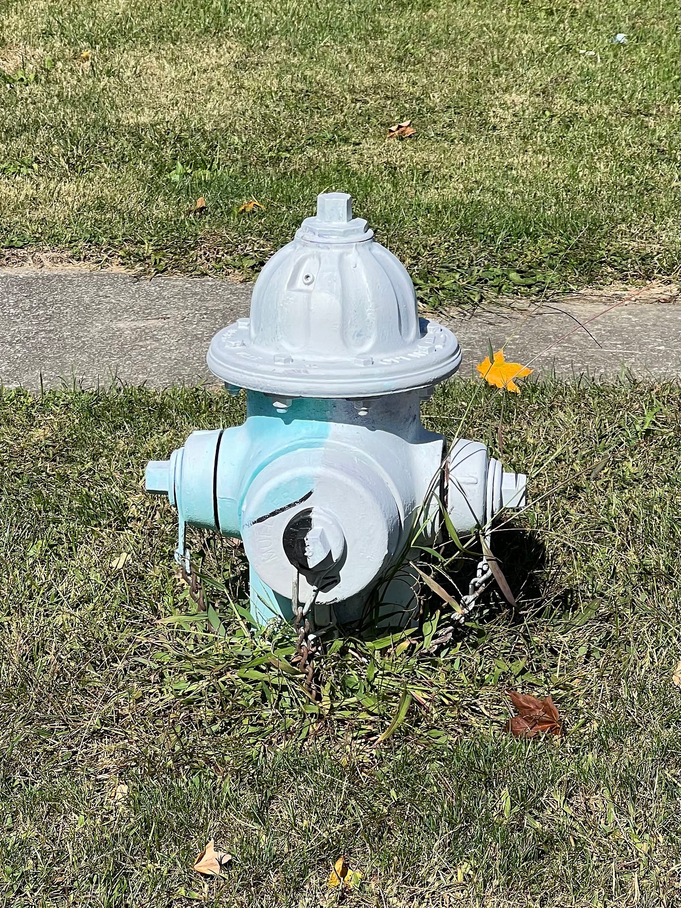 No water is coming out of this hydrant. #geocaching #geocache #firefig