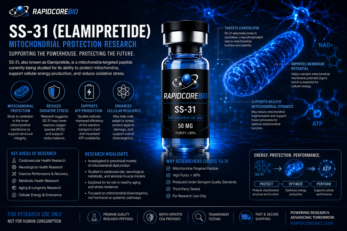 The Mitochondrial Shield: SS-31 and the Next Frontier in Cellular Protection