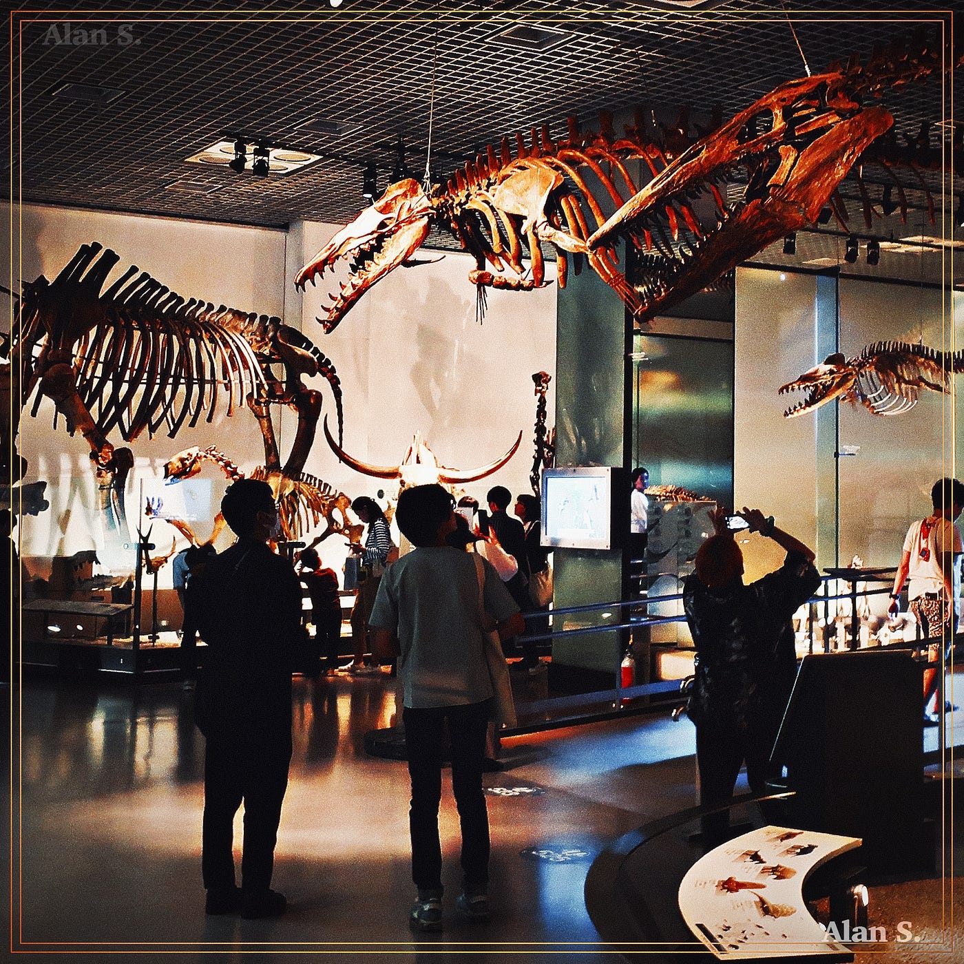 A fossil hall turns deep time into something physical: bones, bodies, scale, light, visitors, and millions of years compressed into a room! {Image: The Author}
