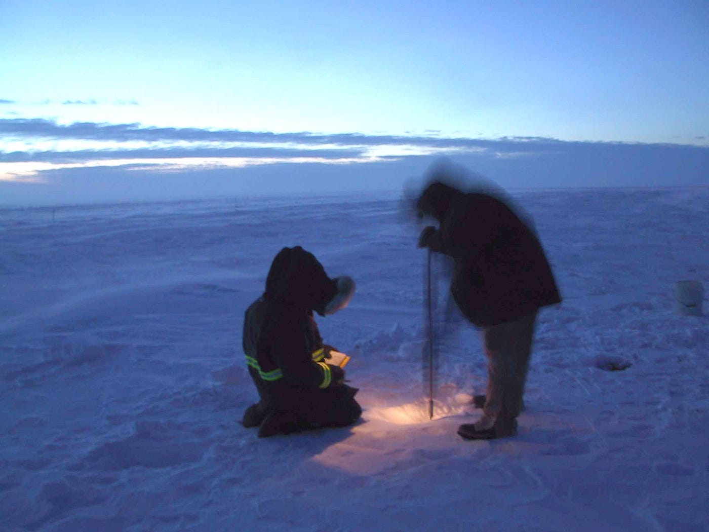 Scientists Have Begun Conserving Coral by Slicing and Freezing It