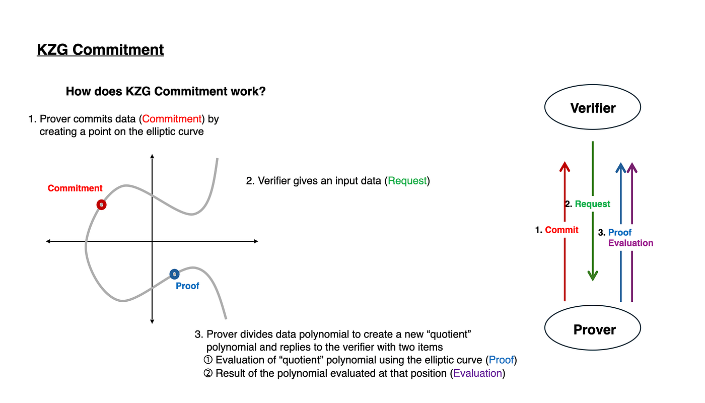 Blob Transaction Sending Tutorial + KZG explanation | by Vladislav Lenskii  | Medium