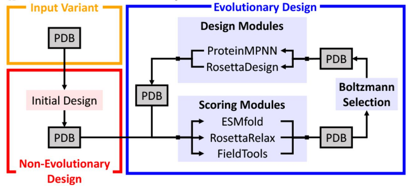 De novo enzyme design (Part 3)