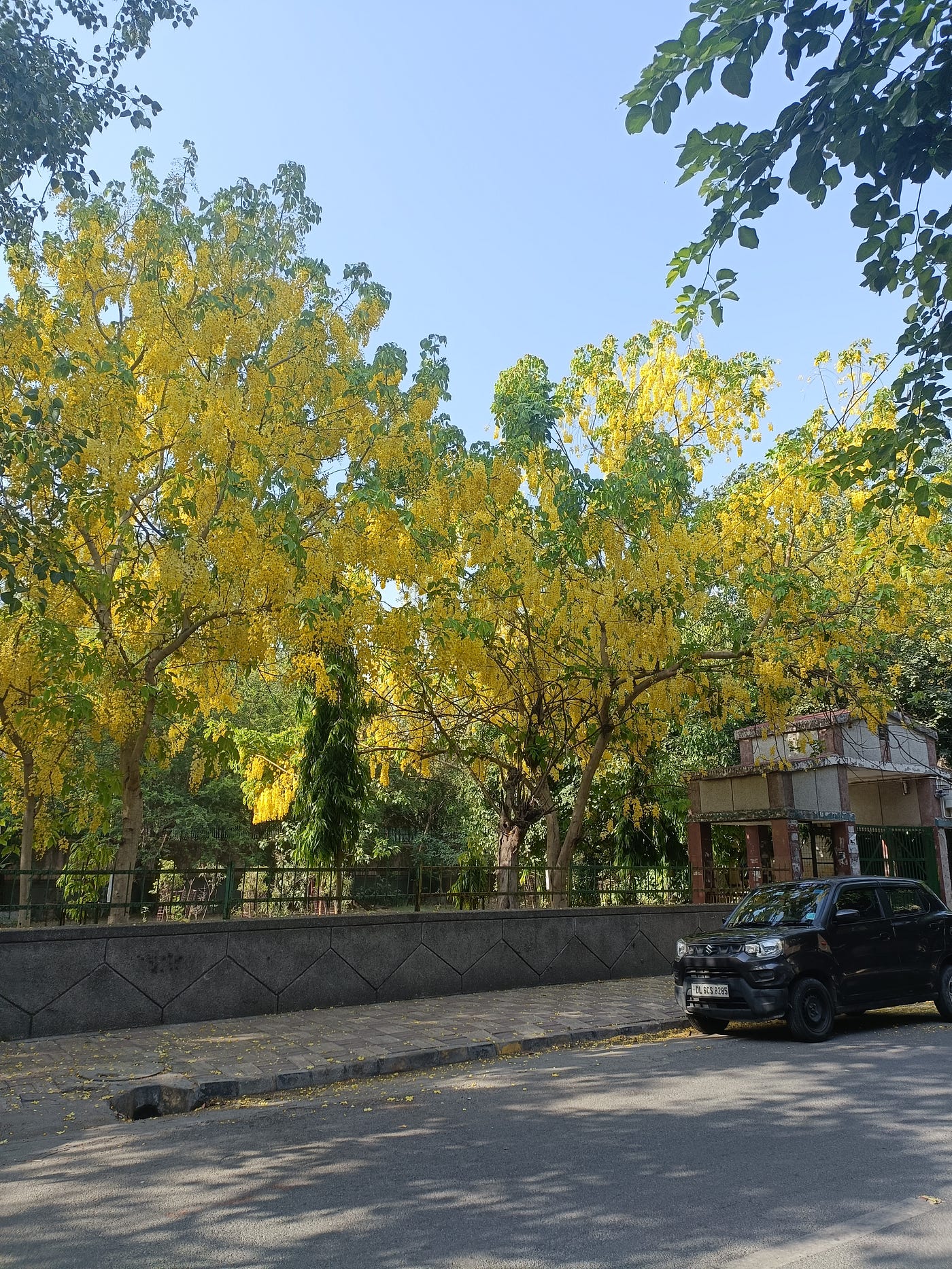When waterfalls went yellow