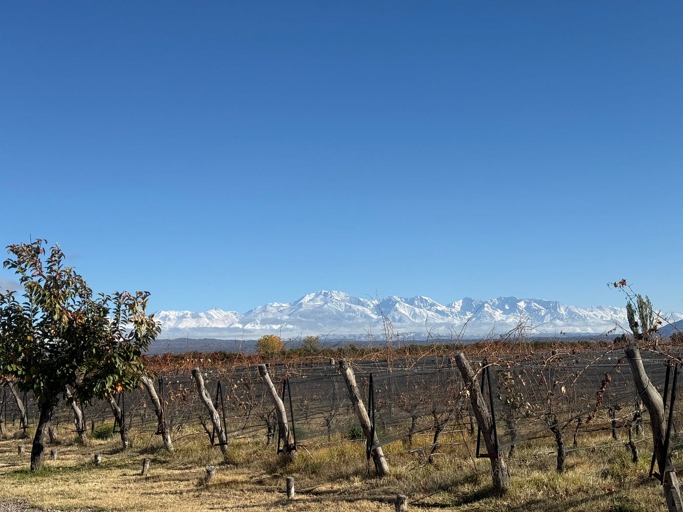 What I learned in Argentina — All Stories