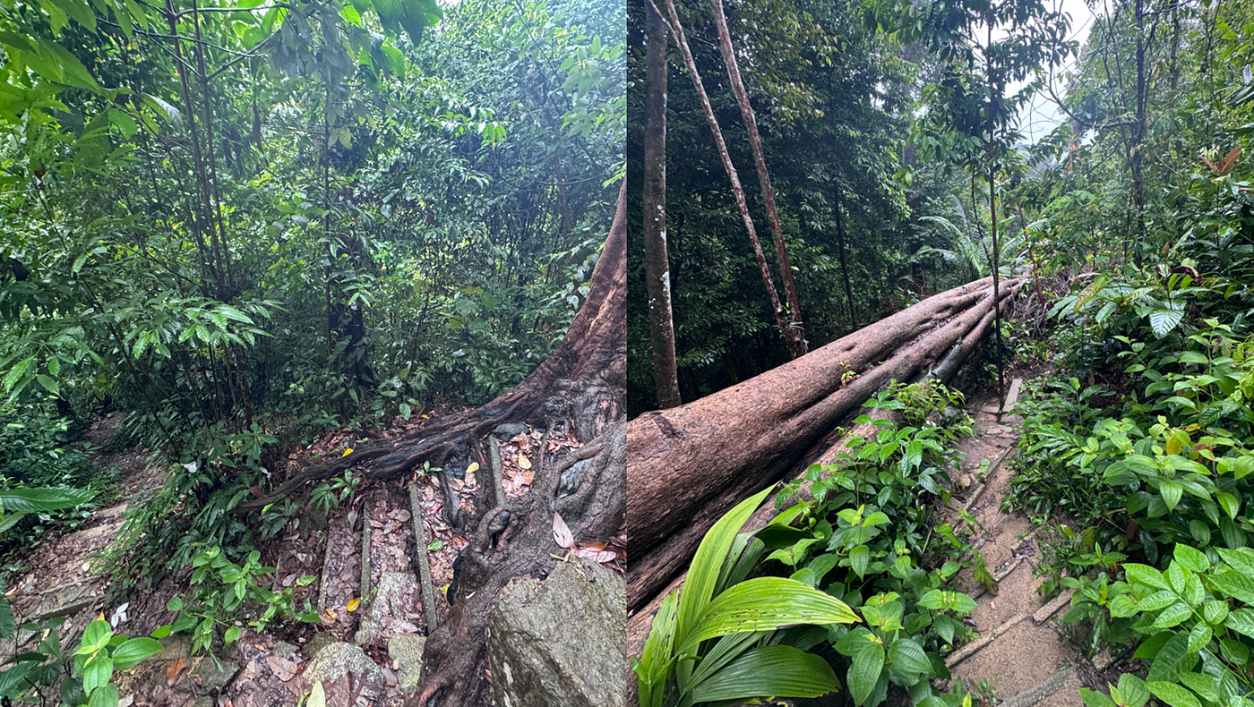 Immerse in the nature, and take a deep breath