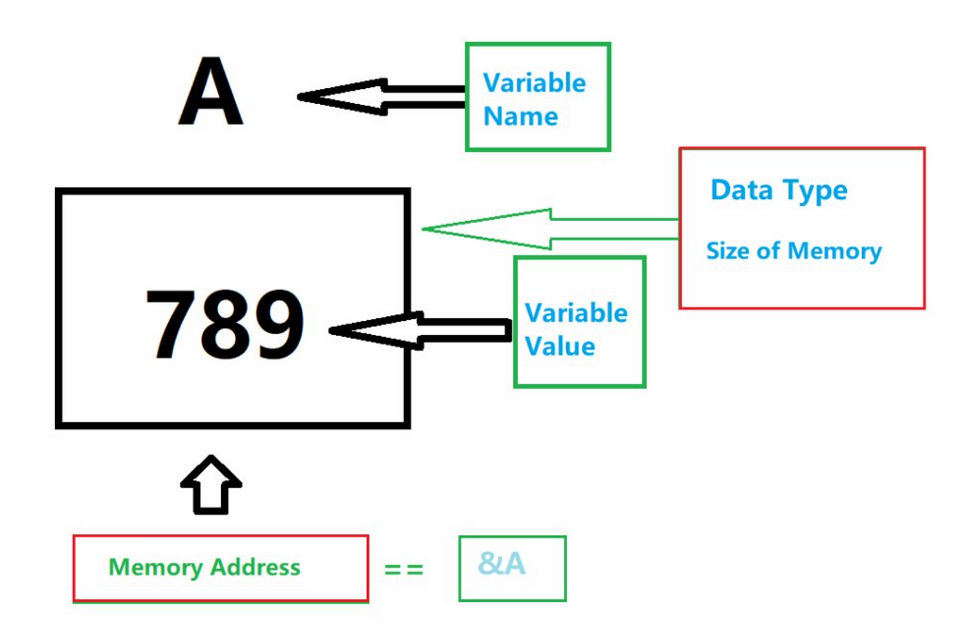 Variables Programming