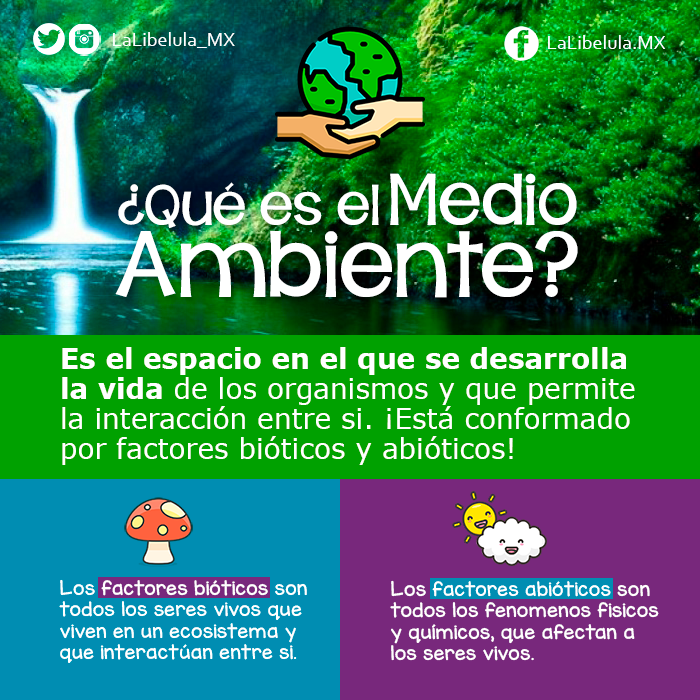 Qué es el medio ambiente?. Cuidemos de nuestro planeta Tierra, la… | by La  Libélula México | Medium