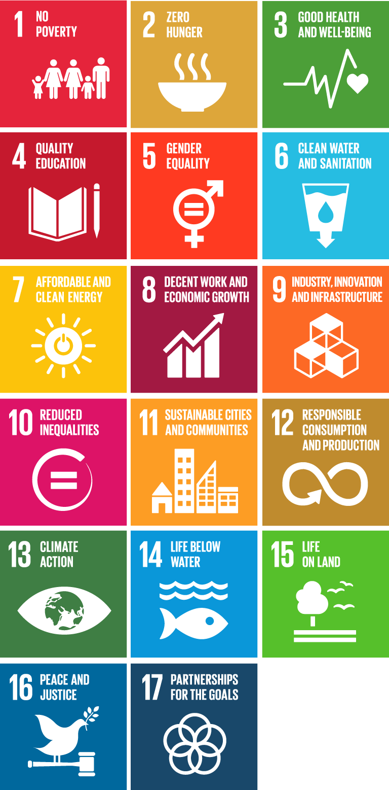 Chapter 1: Getting to know the Sustainable Development Goals | by UN SDSN | SDG Guide