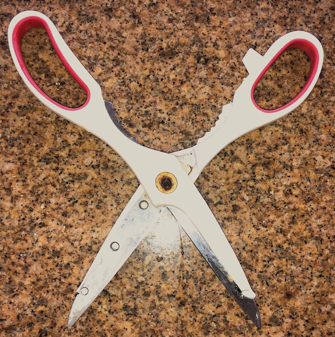 Does anyone know what brand of kitchen scissors this is? My sibling put it  in the dishwasher and I don't know if these are dishwasher safe :  r/HelpMeFind