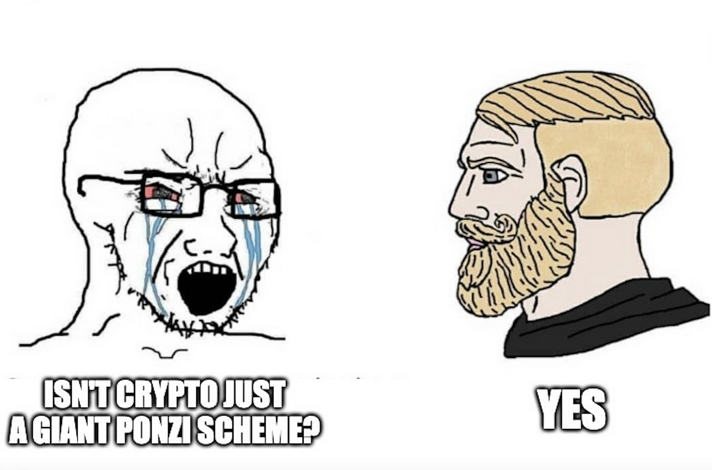 Crypto News: Meme Coins Make a Comeback on the Return of the Bulls