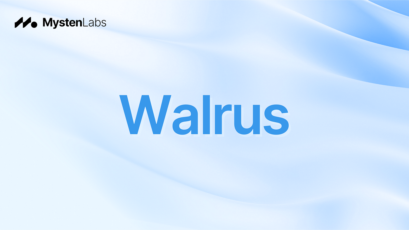 Walrus：去中心化存储和DA协议，可以基于Sui构建L2和大型存储- Sui Network CN - Medium