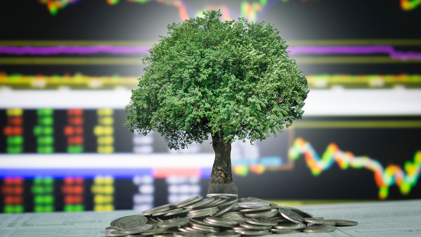 Unlocking Opportunities: How Impact Investing Can Empower the World’s Poorest