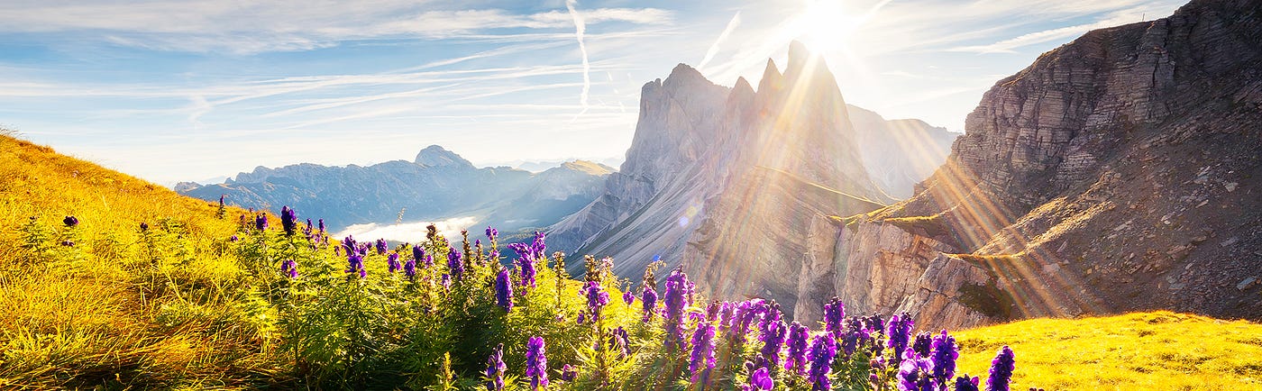 Das Naturparadies Schweiz wartet auf Sie