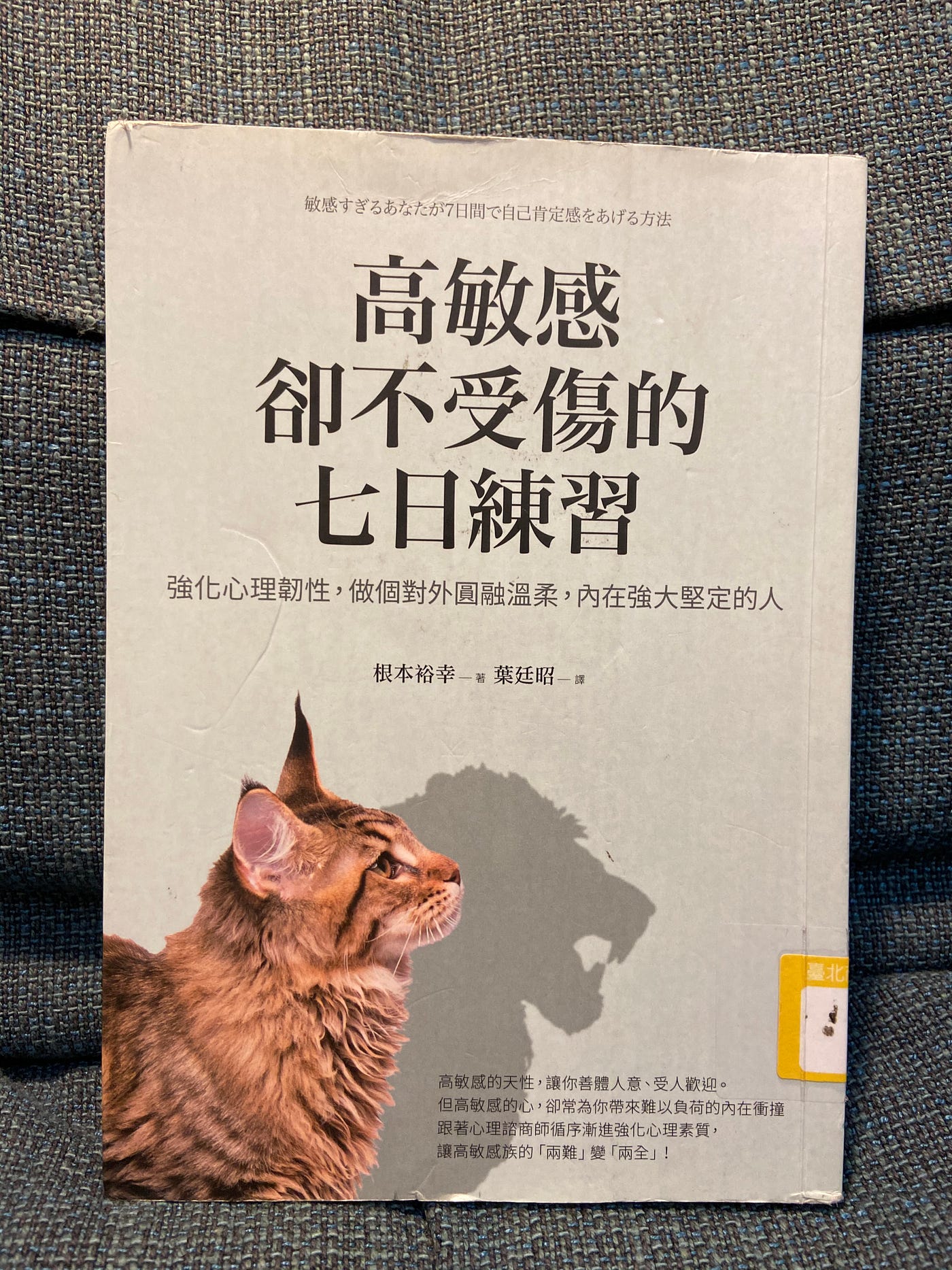 【讀書心得】《高敏感卻不受傷的七日練習》
