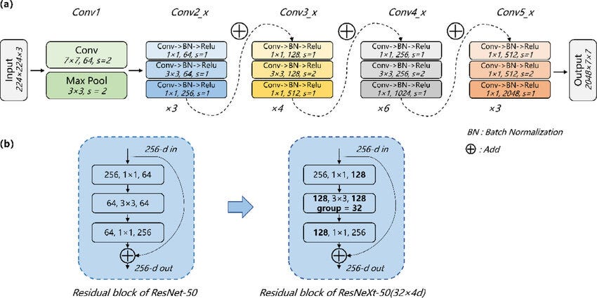 Unlocking Precision through Backbones Architectures: Enhancing 
