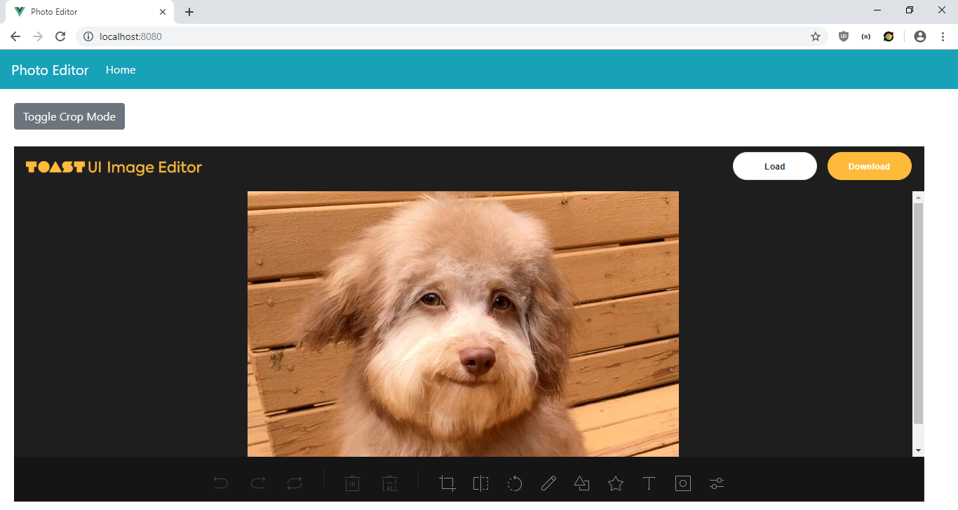 How to Make a Photo Editor with Vue.js | by John Au-Yeung | Level Up Coding