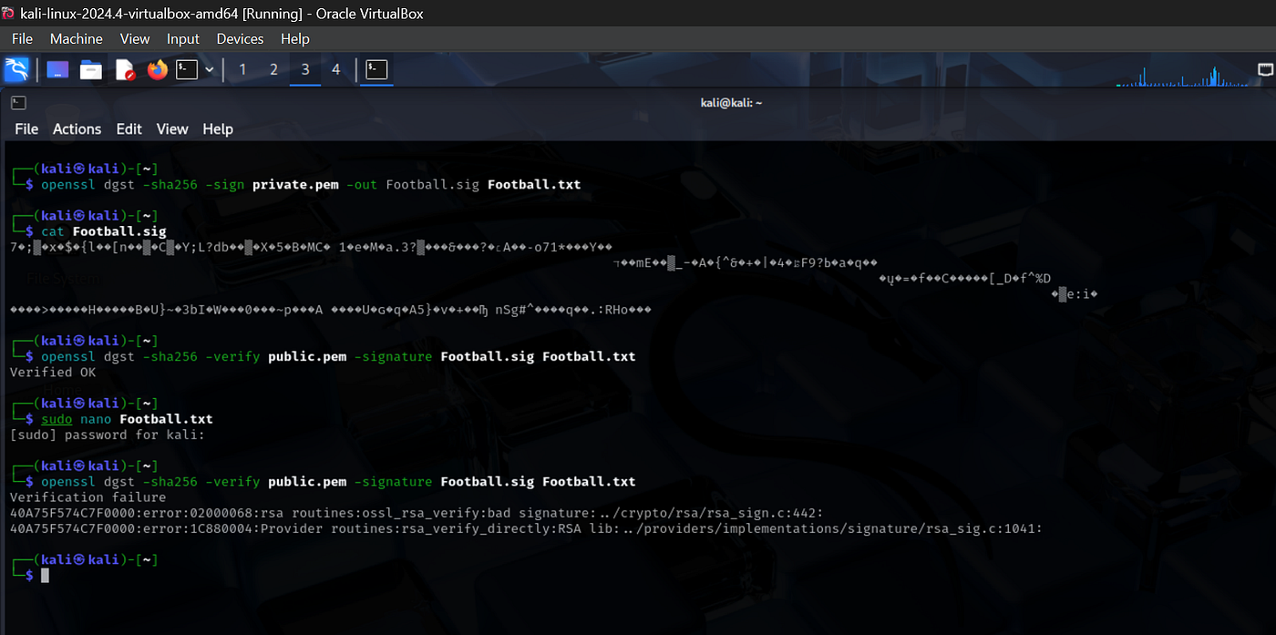 Practical Cryptography on Linux: AES, RSA, Hybrid Encryption, Signatures,  and Hashing | by Esosa Okonedo | Medium